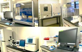 研究内容と成果